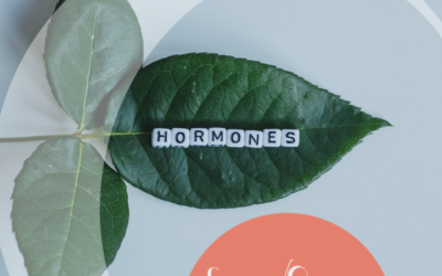 Nos hormones !